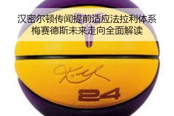 han-mi-er-dun-chuan-wen-ti-qian-shi-ying-fa-la-li-ti-xi-mei-sai-de-si-wei-lai-zou-xiang-quan-mian-jie-du-2-344.jpg