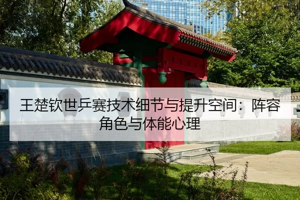 wang-chu-qin-shi-ping-sai-ji-shu-xi-jie-yu-ti-sheng-kong-jian-zhen-rong-jue-se-yu-ti-neng-xin-li-2-321.jpg