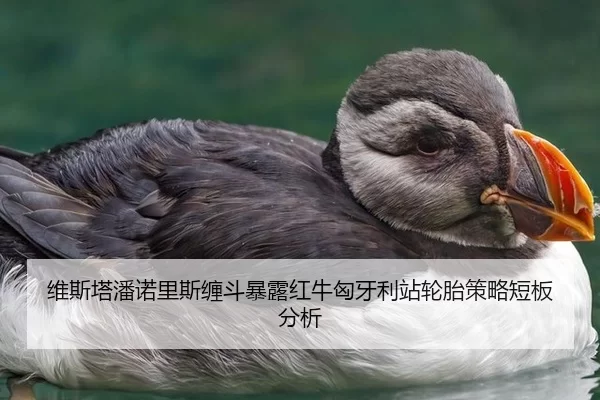 wei-si-ta-pan-nuo-li-si-chan-dou-bao-lu-hong-niu-xiong-ya-li-zhan-lun-tai-ce-lve-duan-ban-fen-xi-3-337.jpg